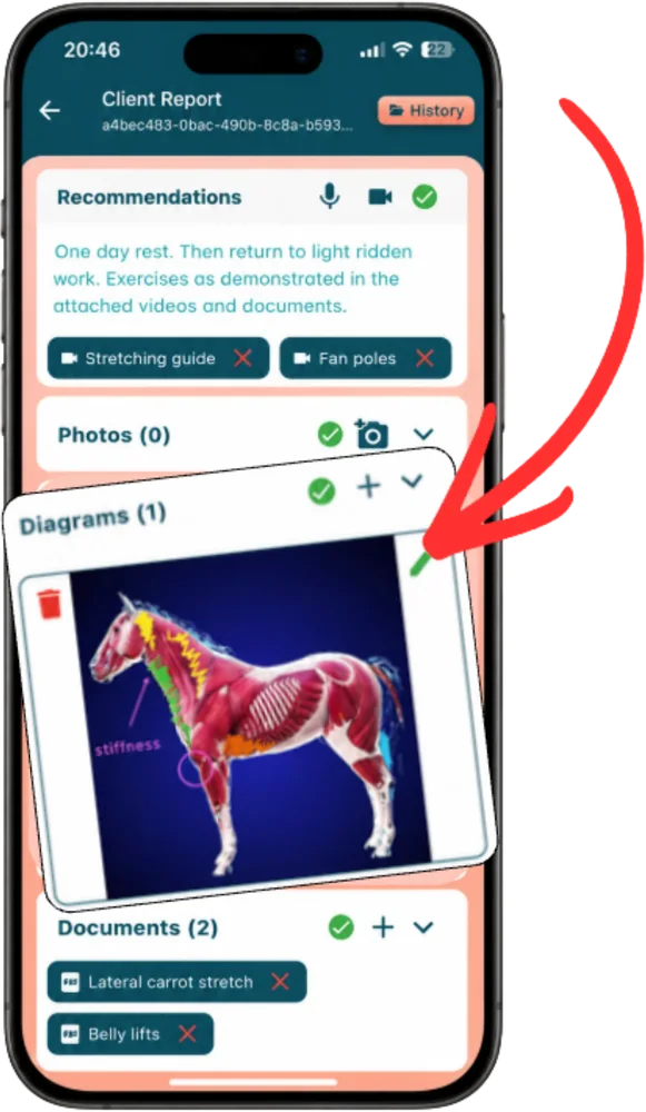 The clinical records screen, showing a horse anatomy diagram with treatment notes and findings marked on it